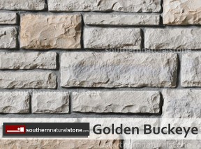 Limestone Golden Buckeye